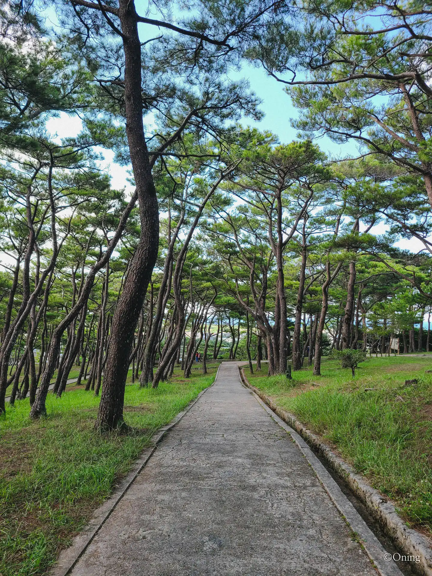 자키미 성터 공원 산책로